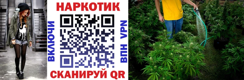 Наркошоп купить СК Марихуана Лсд 25 ГАШИШ МЕФ БУТИРАТ Воткинск