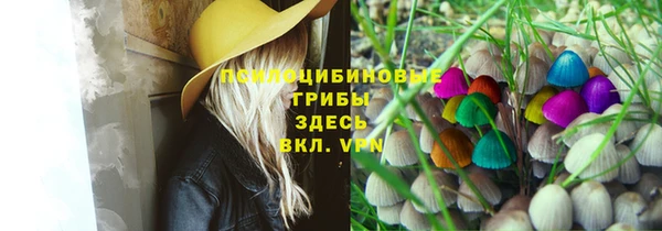 тгк Баксан